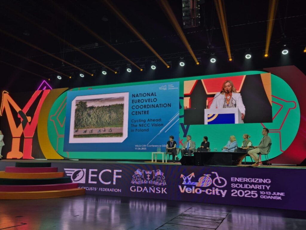 506676787 1294177382717254 2302642996858689300 n